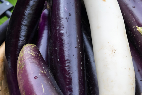 From Garden to Table: Guilin Farm & Family Meal Experience Guide for Chinese or English