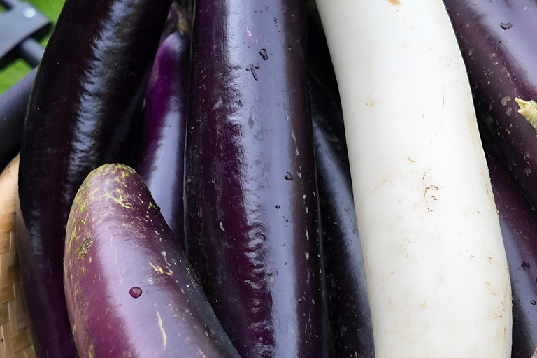 From Garden to Table: Guilin Farm & Family Meal Experience Guide for Chinese or English