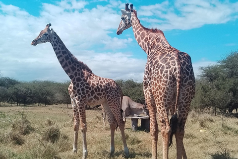 Mombasa: Wildlife Sanctuary Guided Nature Trail Tour Wildlife Sanctuary Guided Nature Trail Tour