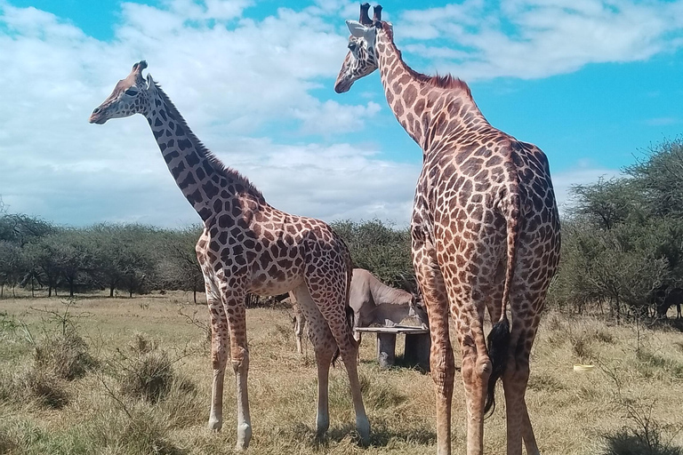 Mombasa: Wildlife Sanctuary Guided Nature Trail Tour Wildlife Sanctuary Guided Nature Trail Tour
