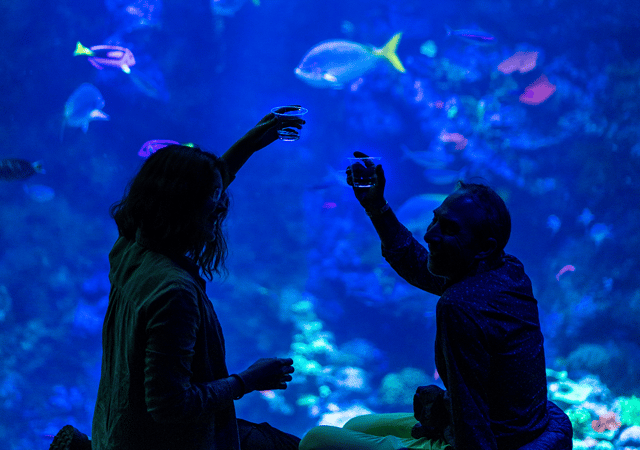 California Academy of Sciences NightLife Plus Admission