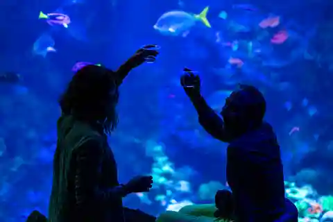 California Academy of Sciences NightLife Plus Admission