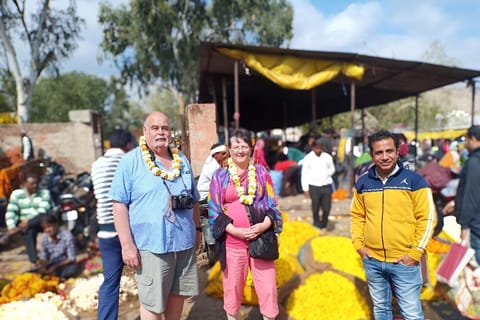 Jaipur: Explore City Heritage Sites & Amber Fort Guided Tour