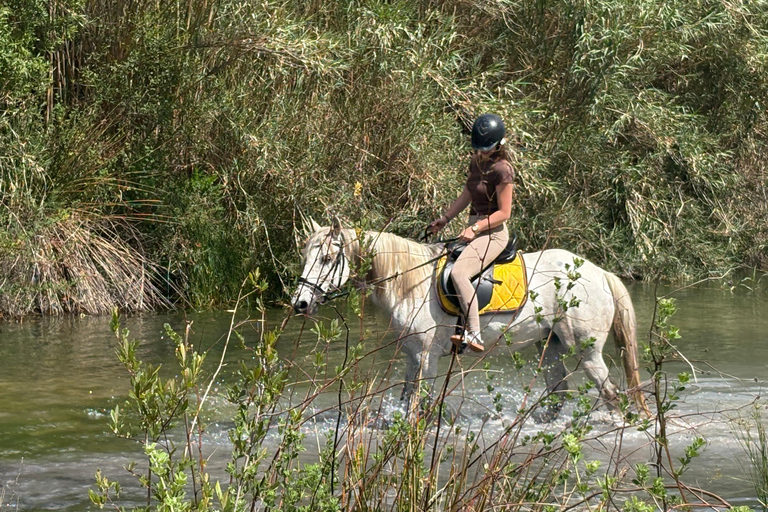 Polop: Horse ride near Benidorm (1 hour) Polop: Horseback Ride + Transportation
