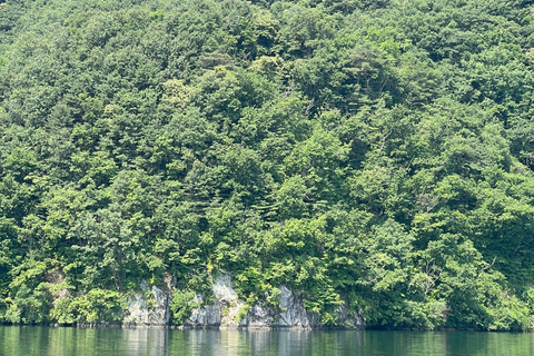 Tagestour Gapyeong: Flusskreuzfahrt zum Jarasum Blumenfest