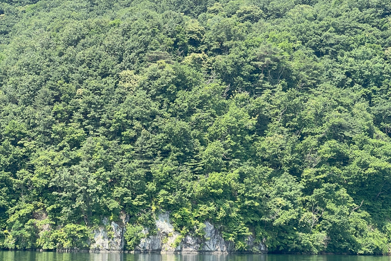 Tagestour Gapyeong: Flusskreuzfahrt zum Jarasum Blumenfest