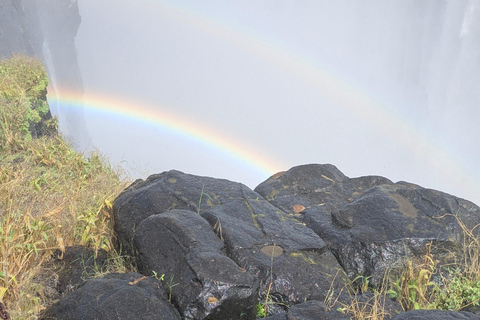 Victoria Falls Leisure Walk & Big Tree Experience