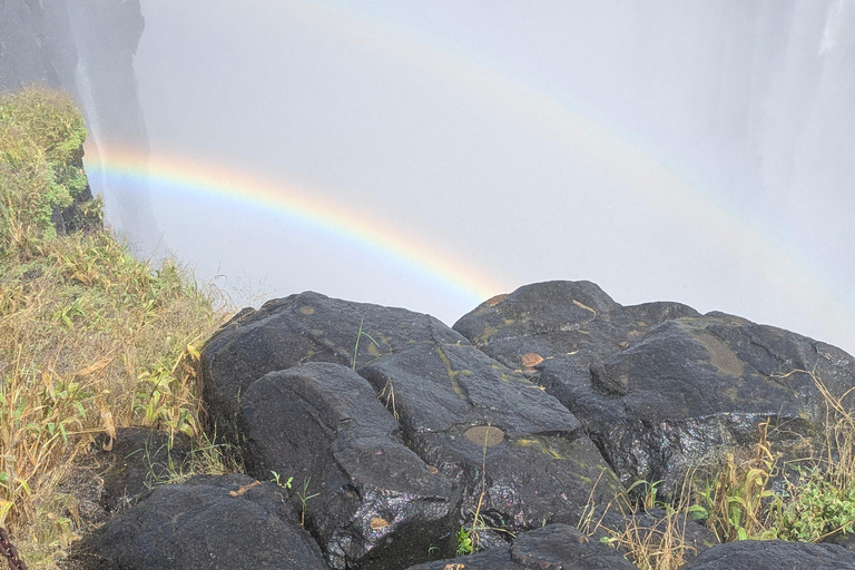 Victoria Falls Leisure Walk & Big Tree Experience