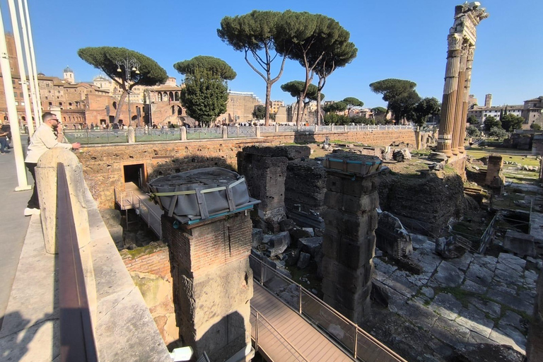 Rome: Colosseum, Roman Forum and Palatine Hill Tour