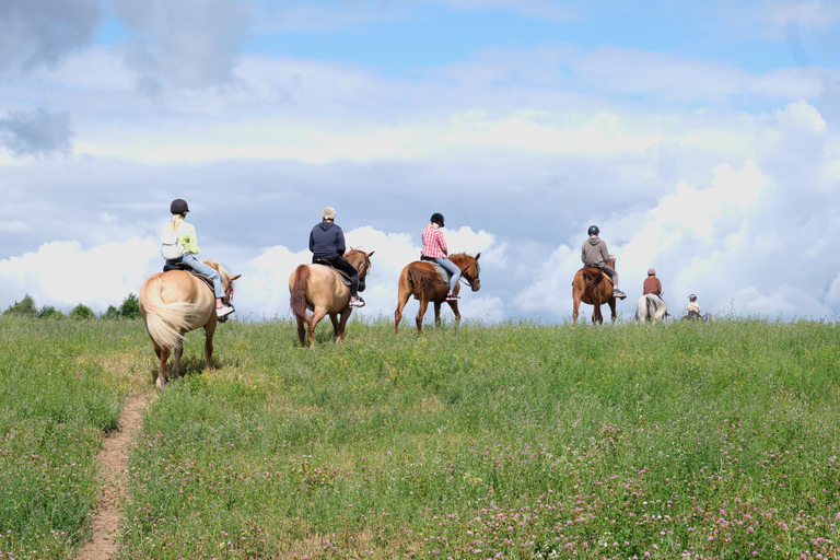 French Riviera: Private Scenic Col de Vence Horseback Ride French Riviera: Panoramic Col de Vence Horseback Ride