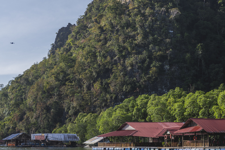Langkawi: Sharing Mangrove Boat Tour 2 Hours