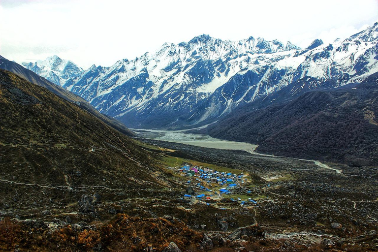 Langtang Valley HeliTour with Landing at Kyanjin Gompa
