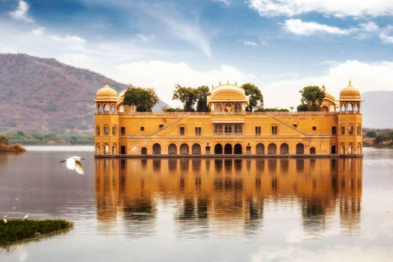 Jaipur Pink City Heritage Tour: Mit dem Auto und Guide buchen