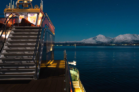 Tromsø: Crociera elettrica con l&#039;aurora boreale