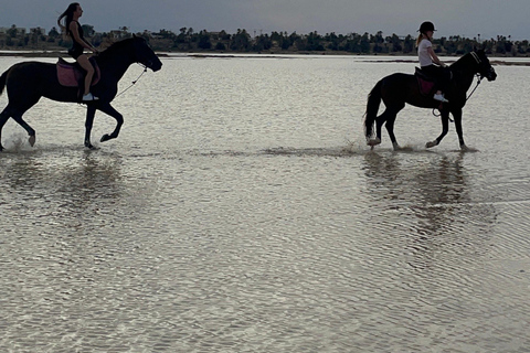 Djerba: 1 hour Horse riding on the beach.