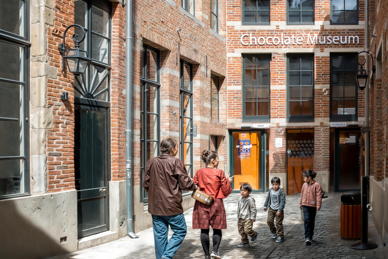 布鲁塞尔私人家庭之旅。亮点、品尝和博物馆布鲁塞尔：精华游、品尝美食和博物馆私人家庭游