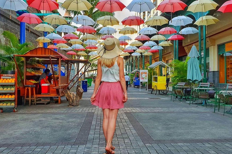 Cuentos del norte con el Château de Labourdonnais y almuerzo