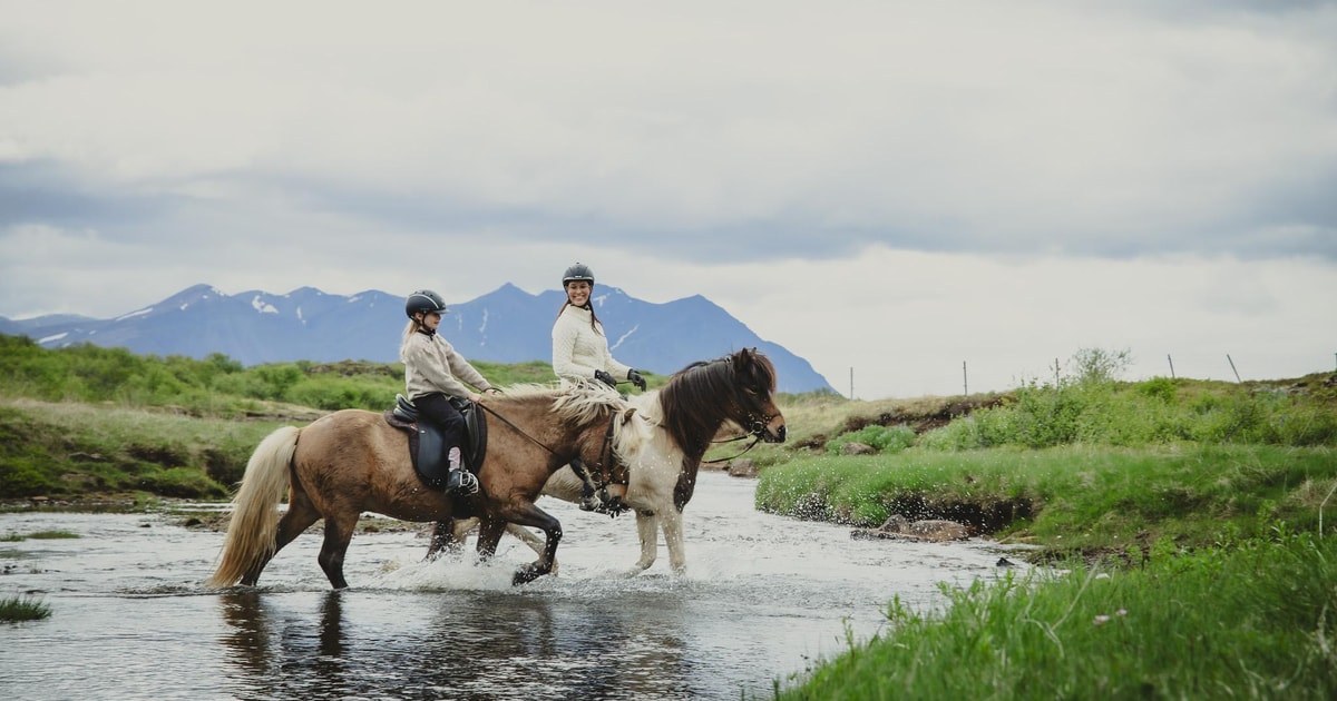 TRAIL RIDE: Horseback Riding Tour with Prep Lesson - 2026 (Verified Reviews)
