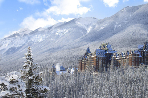 Banff Privé Dagvullende Tour Lake Louise, Gondola &amp; meer