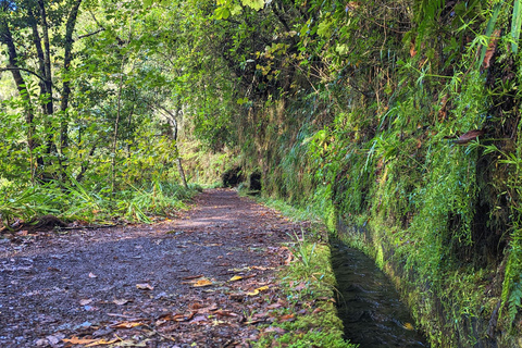 The Fabulous Pico do Arieiro - 4-hour Immersive Experience