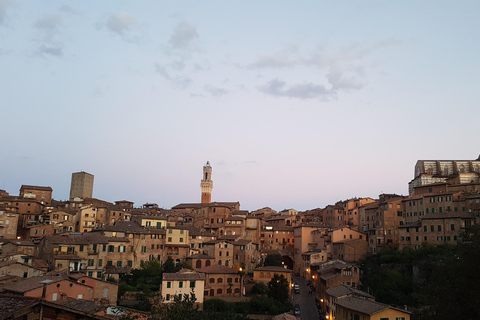 Siena: Guided city tour in German