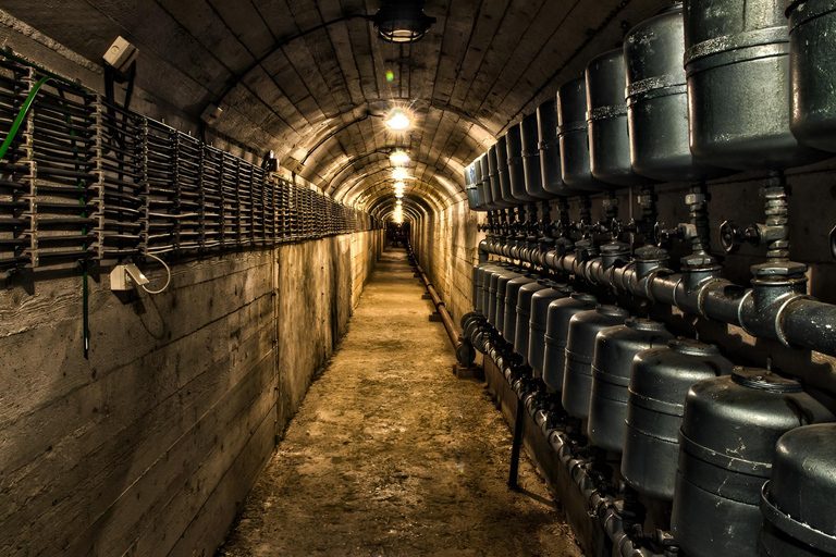 Sarajevo: Tito's Bunker and Tunnel of Hope Full-day Tour