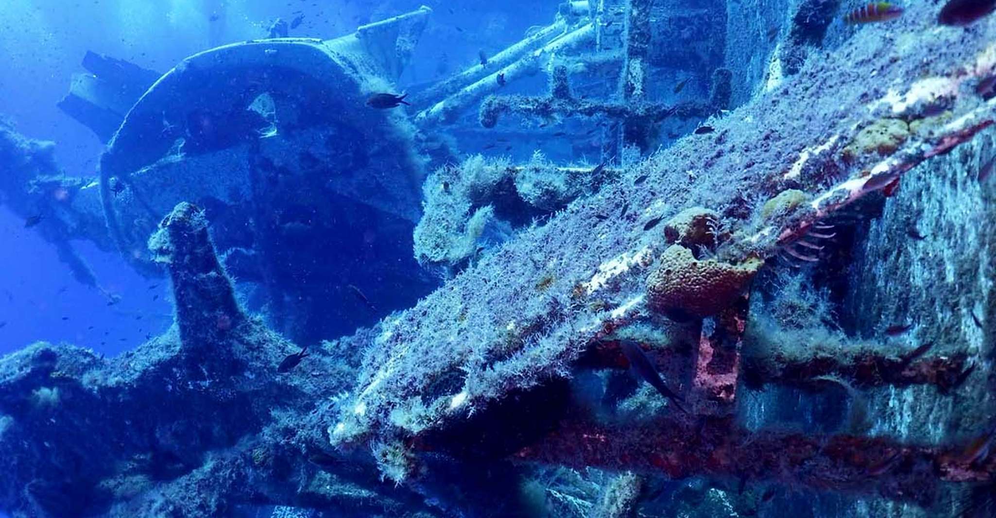 Larnaca, Zenobia Wreck Private Guided Dive - Hizvo