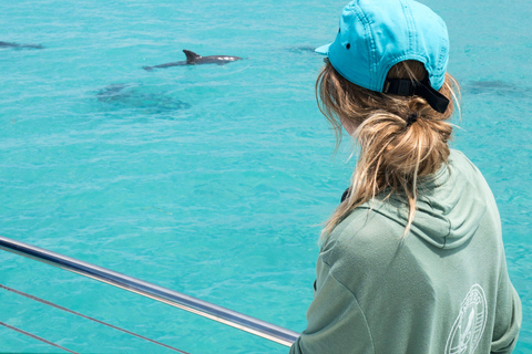 Key West : observation des dauphins et snorkeling guidée avec Honest EcoKey West : observation des dauphins et snorkeling guidé avec Honest Eco