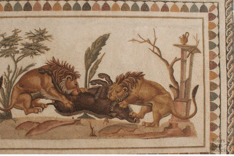 El Jem Colosseum Excursion: Guided Tour from Hammamet, Sousse, Tunis El Jem Amphitheater Excursion: Guided Tour from Hammamet, Sousse, or Tunis