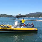 Setúbal e Tróia: Osservazione dei delfini e baie di Arrábida