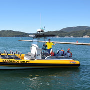 Setúbal and Tróia: Dolphin Watching and Arrábida Bays