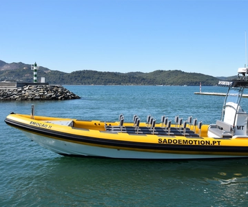 Setúbal and Tróia: Dolphin Watching and Arrábida Bays