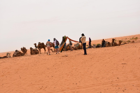 Visite à la journée du désert de Ksar Ghilane et Ksar Jouamaa