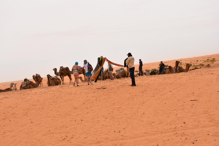 Tour combinato di 1 giorno nel deserto di Ksar Ghilane e Ksar Jouamaa