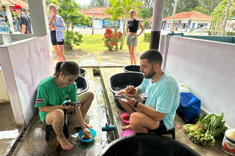 Khaolak : sanctuaire des éléphants avec centre de conservation des tortues