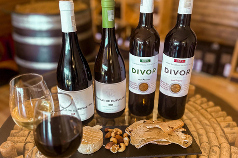 Évora: Jeep Vineyards Tour with Regional Wine & Food Tasting