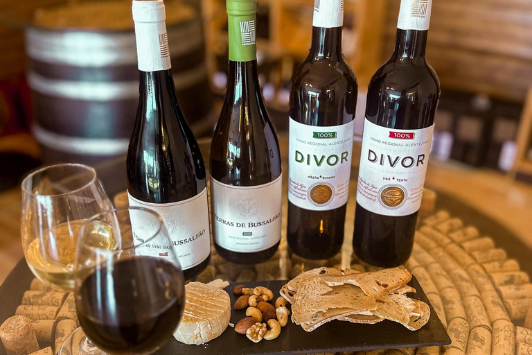 Évora: Jeep Vineyards Tour with Regional Wine & Food Tasting