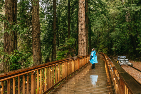 Mendocino County: Pudding Creek Railbikes