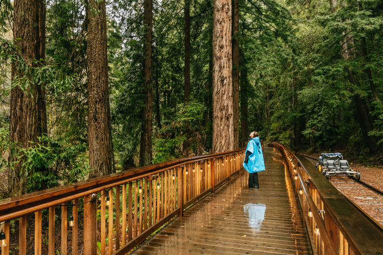 Mendocino County: Pudding Creek Railbikes