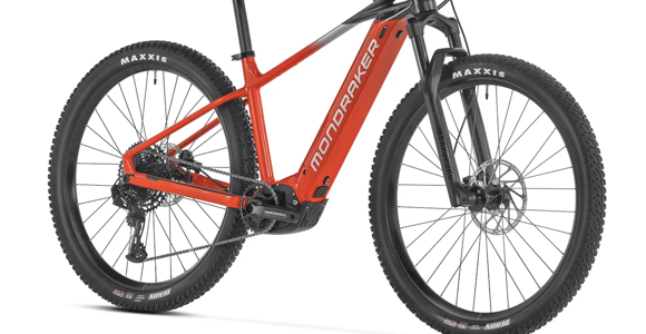 Interlaken: E-Bike Rental with Helmet and Lock