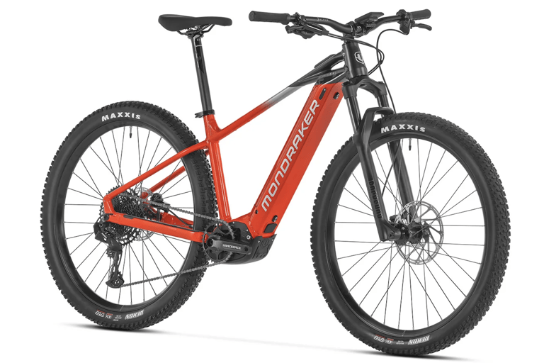 Interlaken: E-Bike Rental with Helmet and Lock