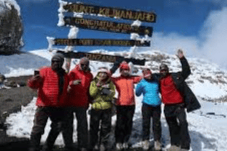 Best 8-Day Lemosho Route Kilimanjaro Budget Trek Tour