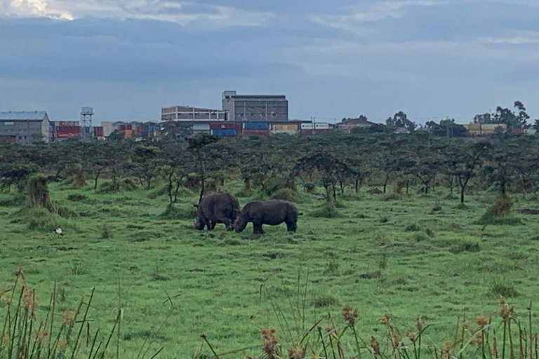 Nairobi National Park: Early Morning or afternoon adventure Early morning game drive in a Landcruiser JEEP