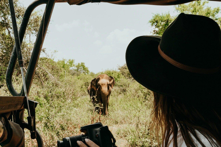 Traslado de Ella para Mirissa/Galle/Hikkaduwa em Udawalawa Safari