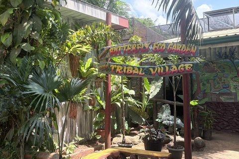 Puerto Princesa City Tour (History, Culture & Shopping)