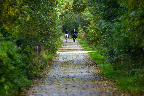 Dragør: Kongelundsskoven Forest Horseback Riding Tour