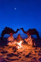 Fullday Pushkar Tour desde Jaipur con Guid+Camel/Jeep Safari - Housity