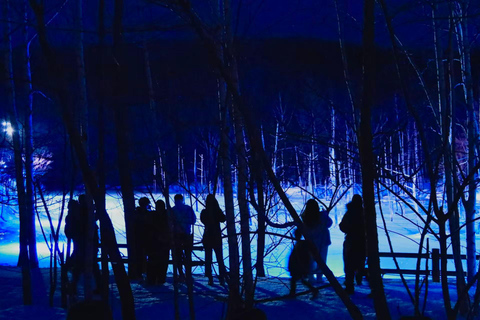 【Winter-Only】 Blue Pond Illumination & Ningle Terrace Tour Sapporo Tv Tower 1F Information Center Departure