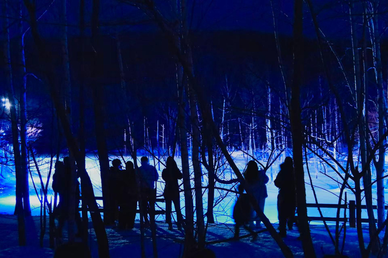 【Winter-Only】 Blue Pond Illumination & Ningle Terrace Tour Sapporo Tv Tower 1F Information Center Departure
