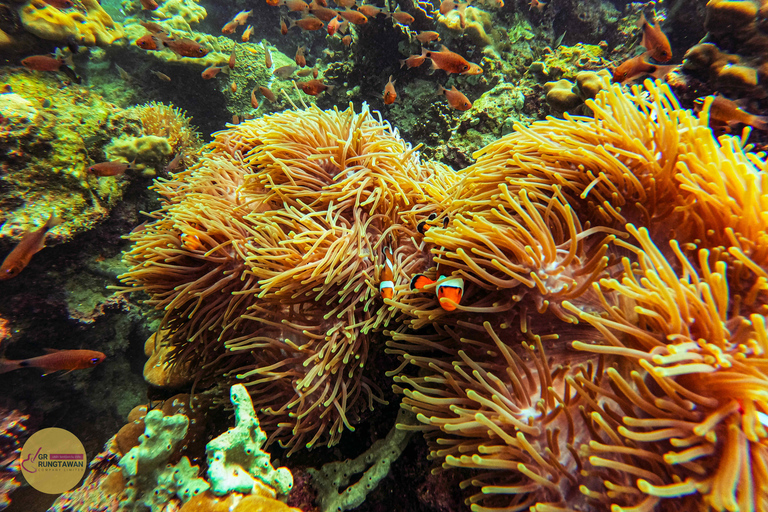 Hong Islands solnedgång + bioluminiscent plankton och BBQ-middag